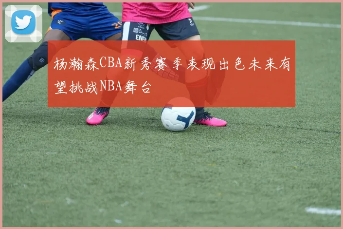 杨瀚森CBA新秀赛季表现出色未来有望挑战NBA舞台